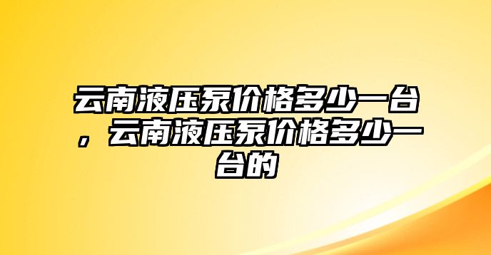 云南液壓泵價格多少一臺，云南液壓泵價格多少一臺的